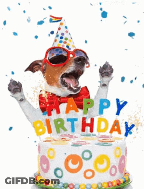 Happy Bday Betty Dog GIF