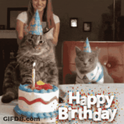 Happy Bday Kitty Cake GIF
