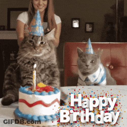 Happy Bday GIF