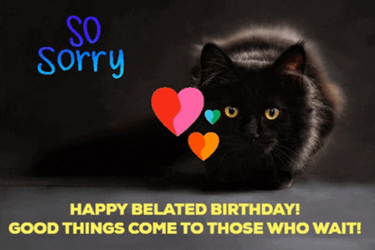 Happy Belated Birthday So Sorry Cat GIF