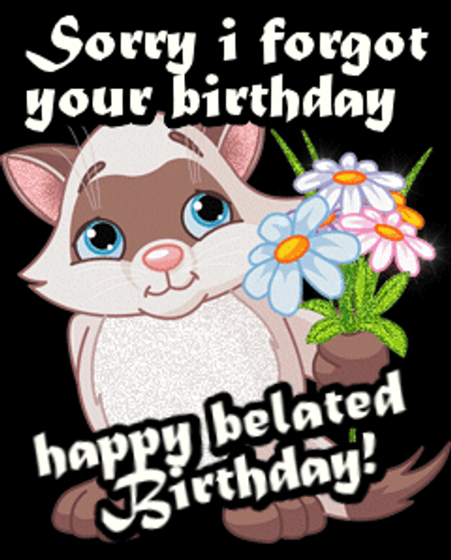 Happy Belated Birthday Sorry I Forgot GIF