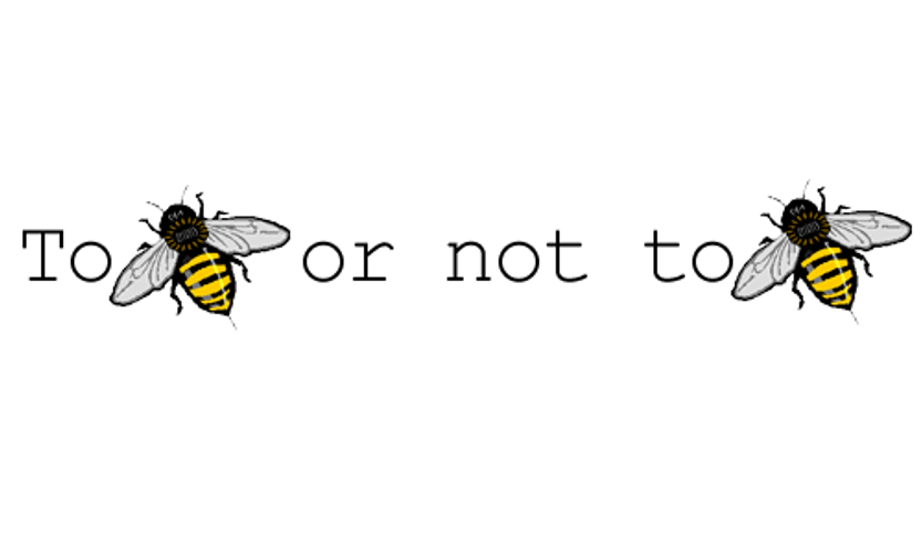 Happy Belated Birthday To Bee GIF