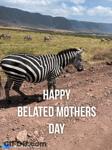 Happy Belated Mother's Day Card With Pink Hearts GIF