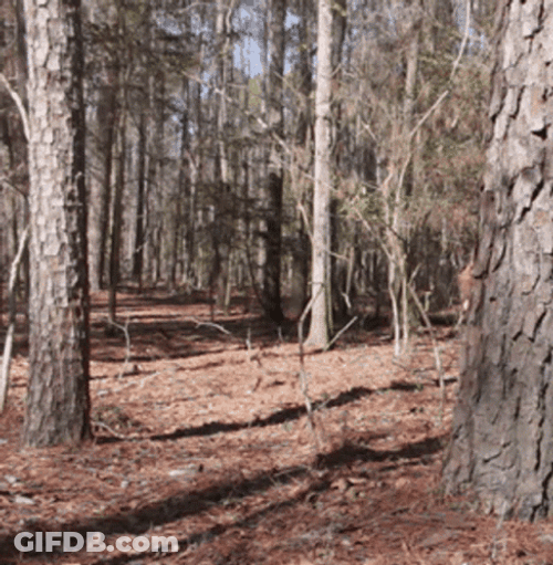 Happy Big Foot GIF