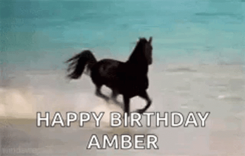 Happy Birthday Amber Horse Running Seaside GIF