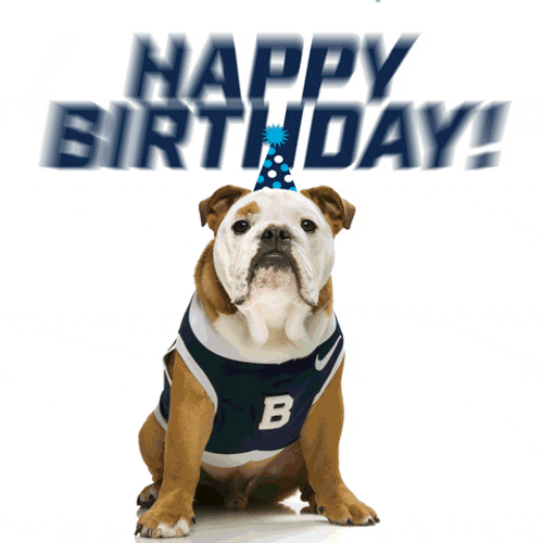 Happy Birthday Animal Bulldog Confetti GIF