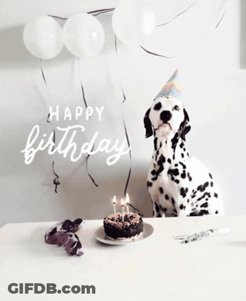 Happy Birthday Animal Dog Dalmatian Cake GIF