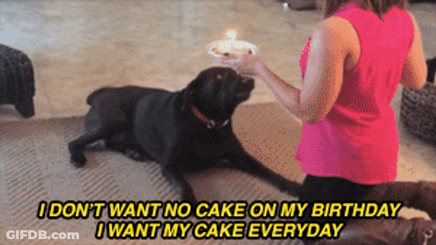 Happy Birthday Animal Dog Flipping Cake Meme GIF