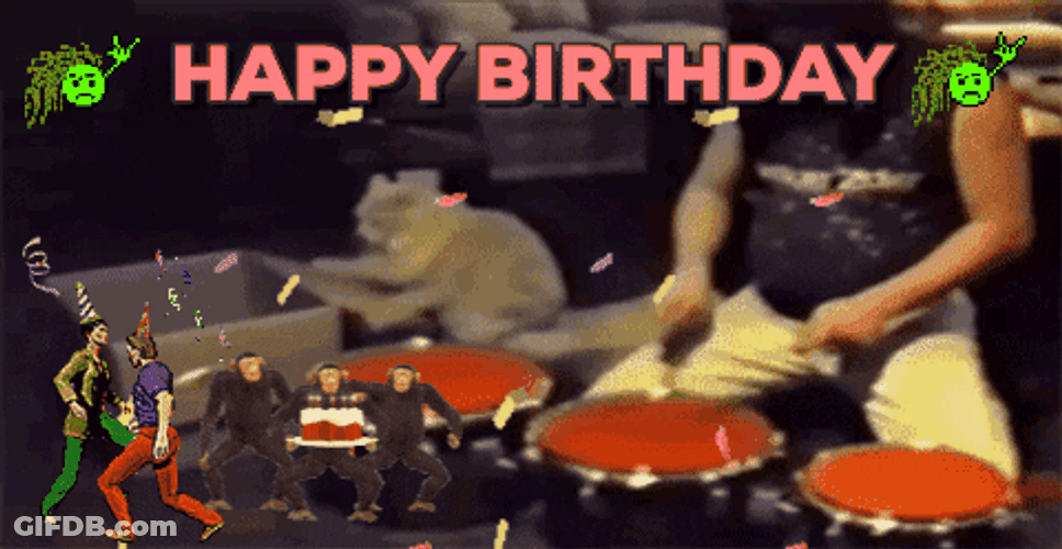Happy Birthday Animal Party Drummer Cat GIF