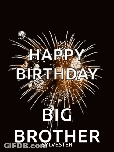Happy Birthday Big Brother Sylvester With Fireworks In The Background GIF