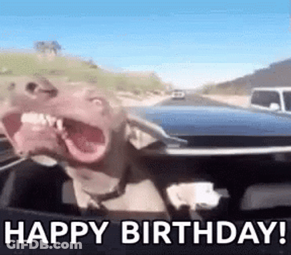 Happy Birthday Big Dawg Smile GIF