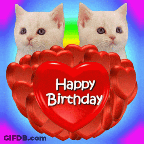 Happy Birthday Birthday Twins White Cat GIF