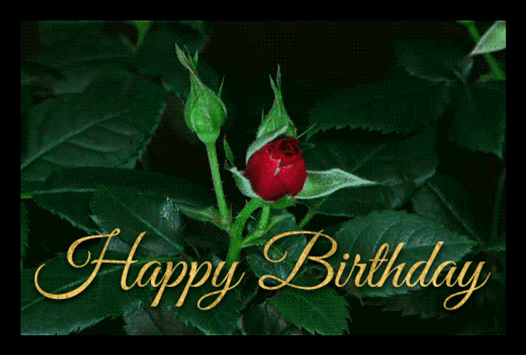 Happy Birthday Blooming Red Flowers GIF