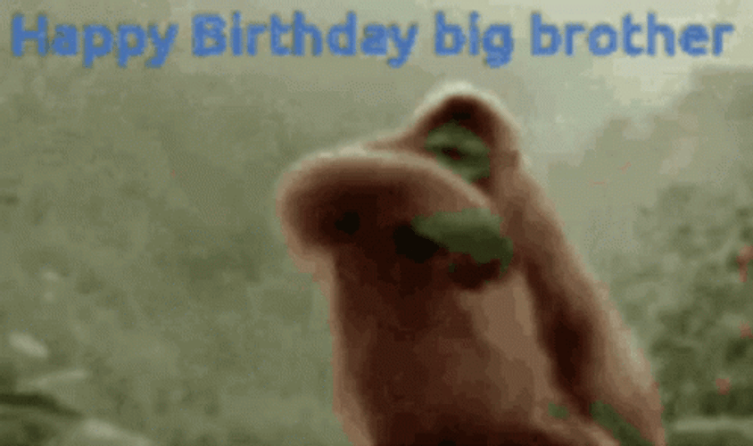Happy Birthday Brother Chimpanzee Dancing GIF
