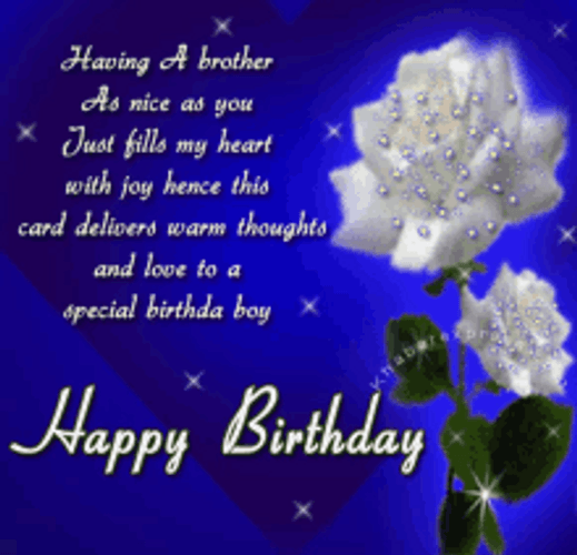 Happy Birthday Brother Enjoy GIF