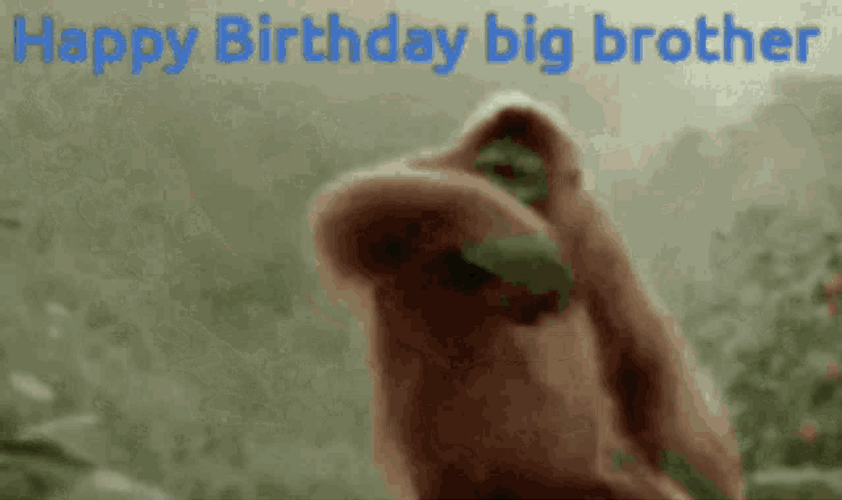 Happy Birthday Brother Funny Monkey Dancing GIF