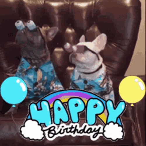 Happy Birthday Brother Funny Pug Brothers GIF