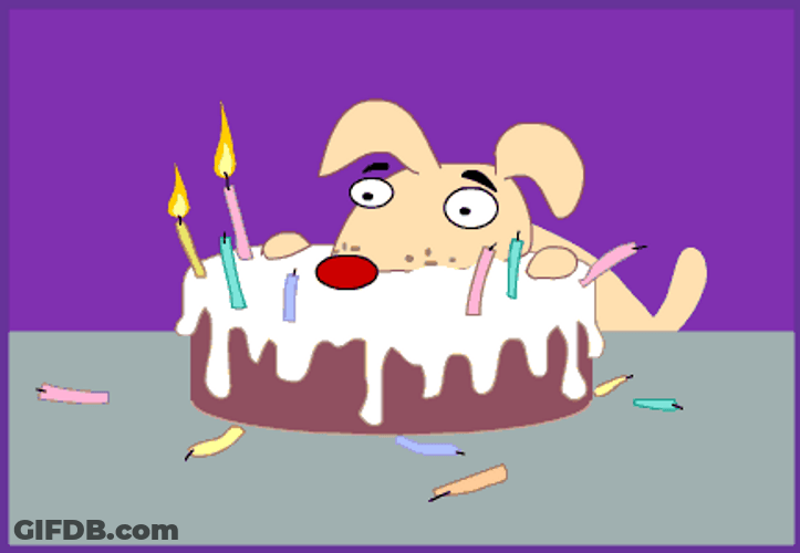 Happy Birthday Cake Dog Smash GIF