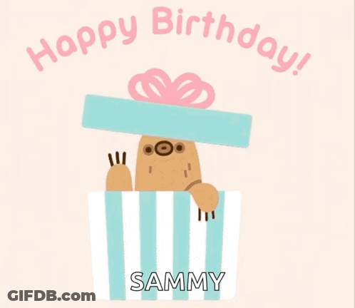 Happy Birthday Card Sloth In Box GIF