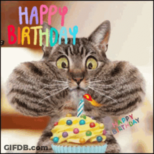 Happy Birthday Card With Balloons And Gifts Cheers To Another Trip Around The Sun GIF