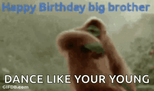 Happy Birthday Card With Beer GIF