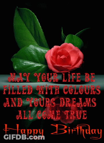 Happy Birthday Card With Red Rose And Green Leaves GIF