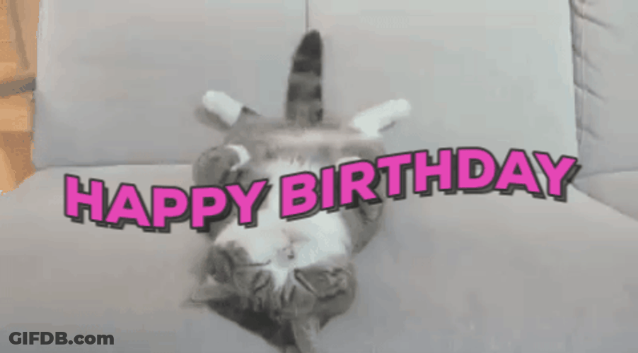 Happy Birthday Cat Chill Laying Down GIF