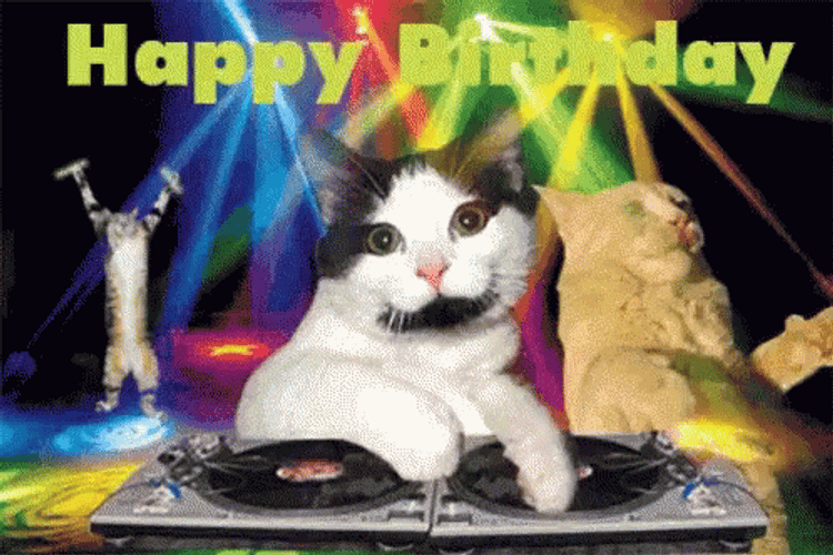 Happy Birthday Cat DJ GIF