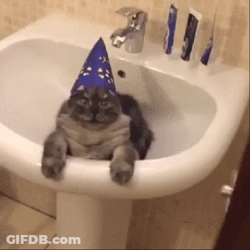 Happy Birthday Cat In Bathroom Sink GIF