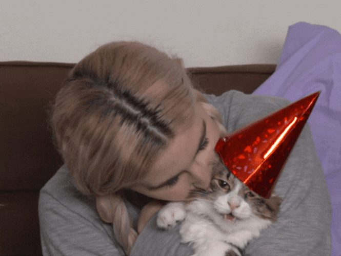 Happy Birthday Cat Kisses GIF