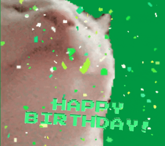 Happy Birthday Cat Nodding GIF
