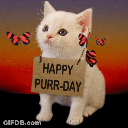 Happy Birthday Cat Purr Day Sign GIF