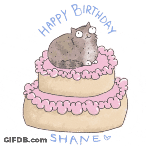 Happy Birthday Cat Shane Two Layered Cake GIF