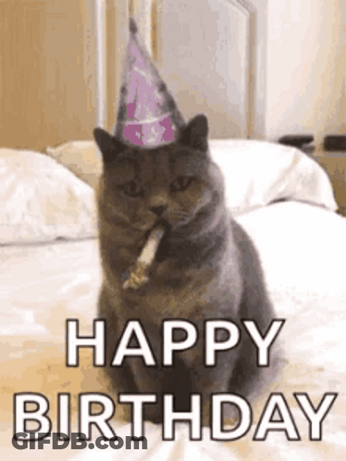 Happy Birthday Cat GIF