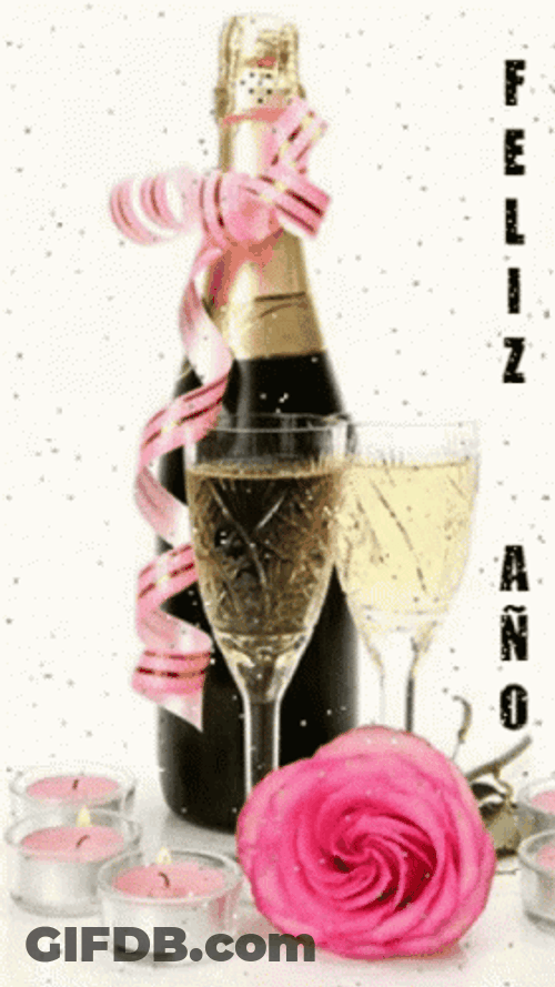 Happy Birthday Champagne Bottle Pink Ribbon GIF