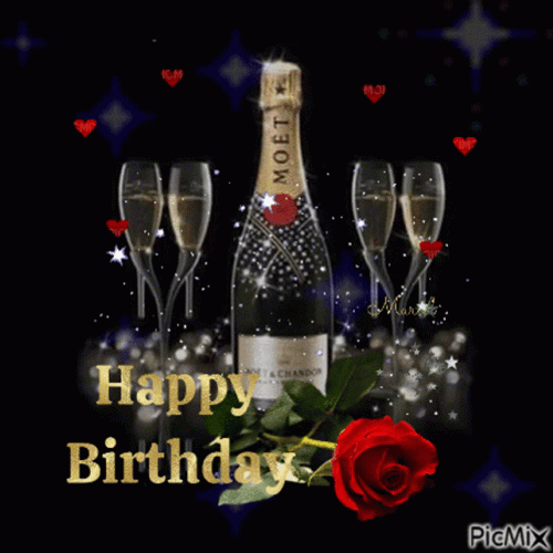 Happy Birthday Champagne Drink Ready GIF
