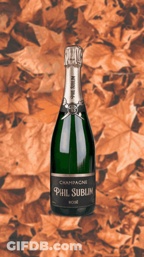Happy Birthday Champagne Four Seasons GIF