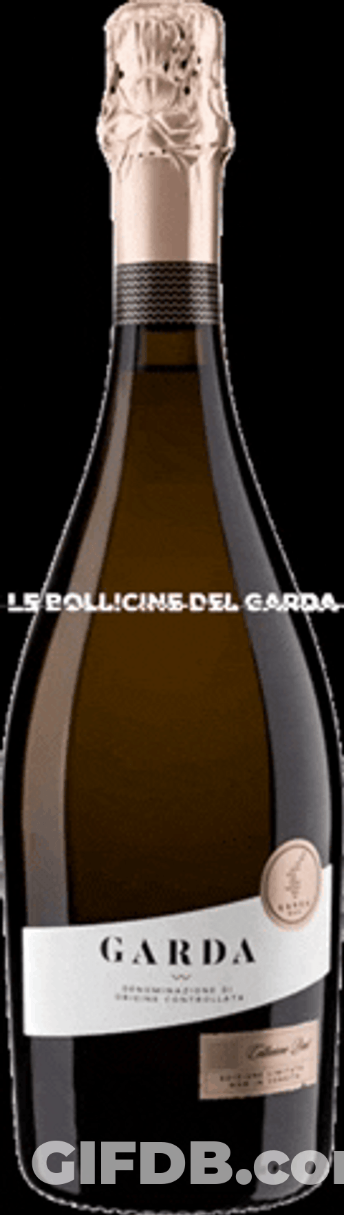 Happy Birthday Champagne Garda Bottle GIF