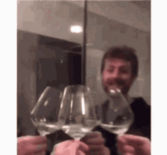 Happy Birthday Cheers Toast Self Mirror GIF