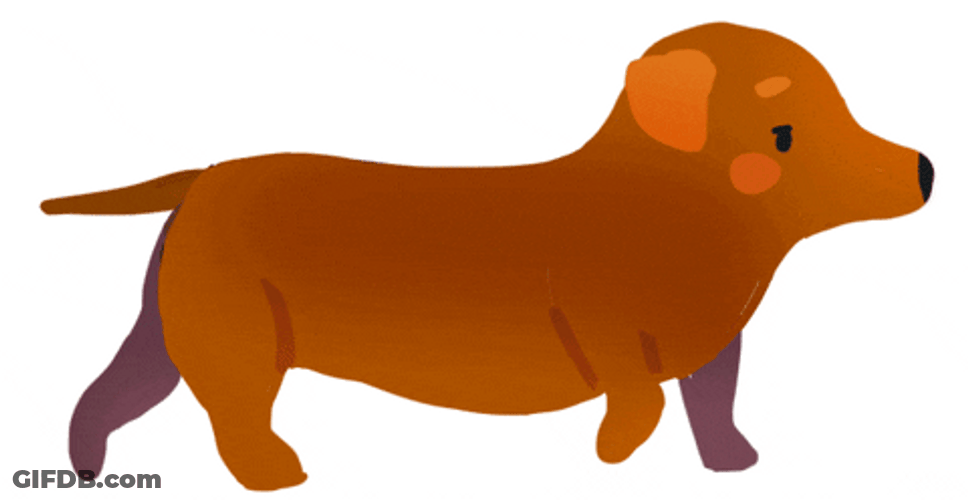 Happy Birthday Dachshund Animated Disappearing Bun GIF