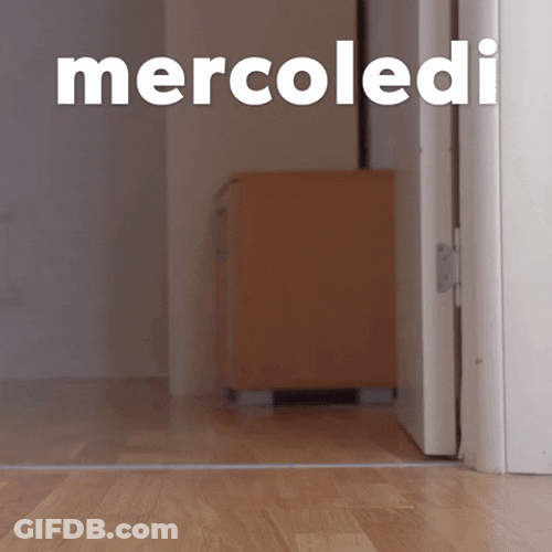 Happy Birthday Dachshund Checkered Mercoledi GIF