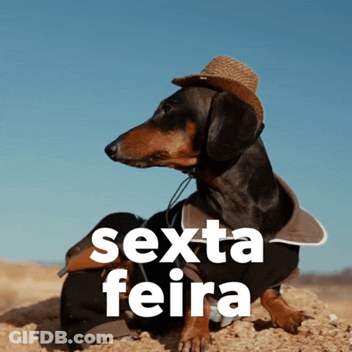 Happy Birthday Dachshund Chillin' Sexta Feira GIF