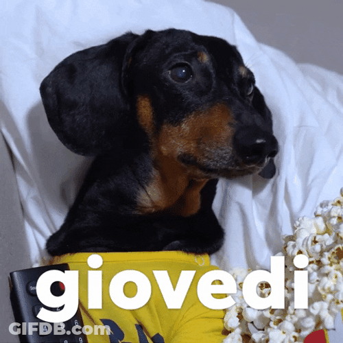 Happy Birthday Dachshund Chilling Giovedi GIF