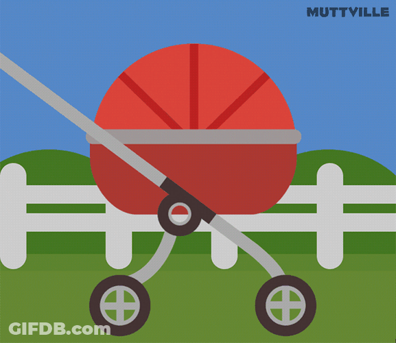 Happy Birthday Dachshund Dog In Stroller GIF
