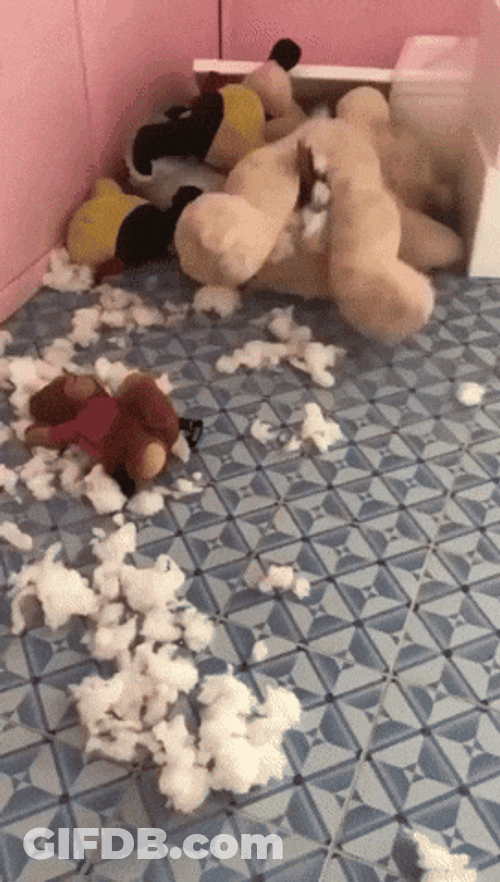 Happy Birthday Dachshund Dog Inside Stuffed Toy GIF