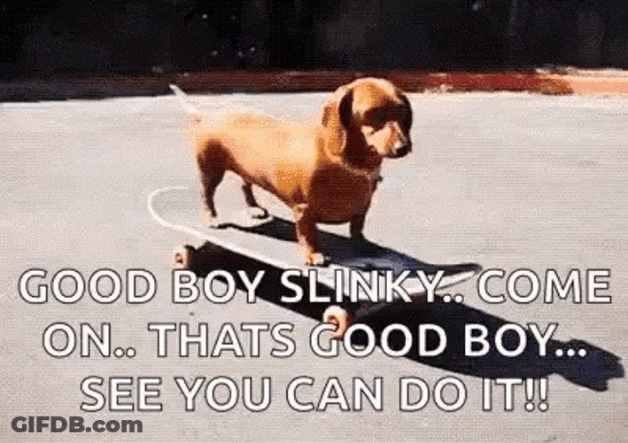 Happy Birthday Dachshund Good Boy Slinky GIF