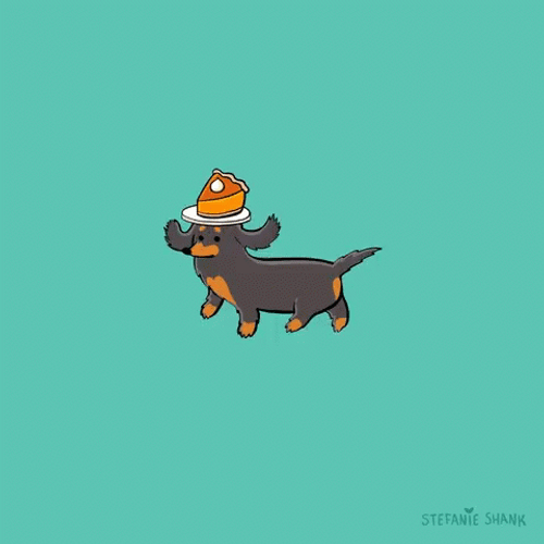 Happy Birthday Dachshund Pie In Head Exhibition GIF