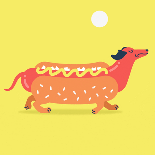 Happy Birthday Dachshund Red Dog In Bun GIF