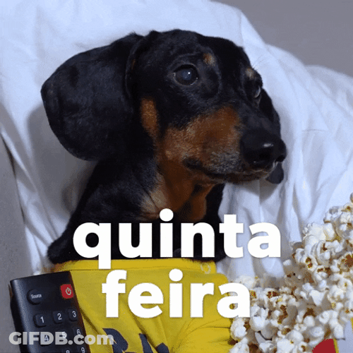 Happy Birthday Dachshund Remote Quinta Feira GIF