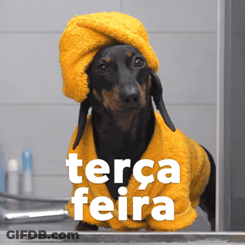 Happy Birthday Dachshund Terca Fiera GIF